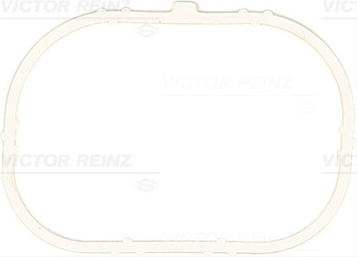 Garnitura, Carcasa Galerie Admisie Victor Reinz Renault Trucks 71-37913-00