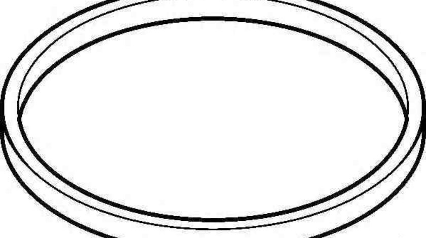 Garnitura, Carcasa galerie admisie VW POLO (6R, 6C) ELRING 655.850