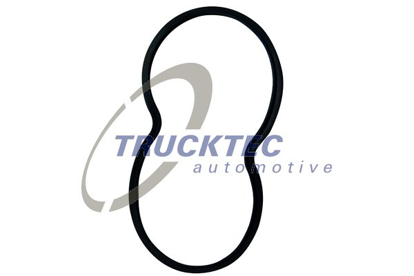 Garnitura, carcasa termostat (0419107 TRUCKTEC) SCANIA