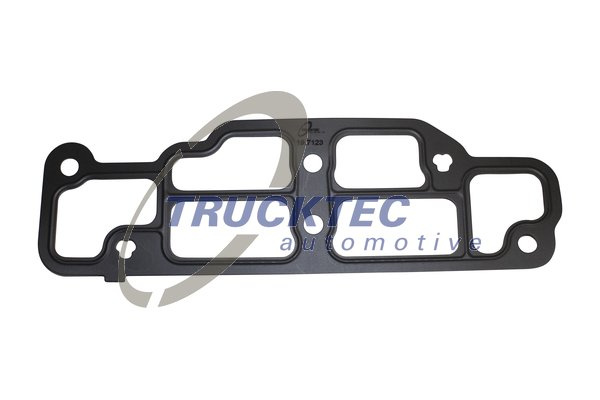 Garnitura, carcasa termostat (0519082 TRUCKTEC) MAN,NEOPLAN