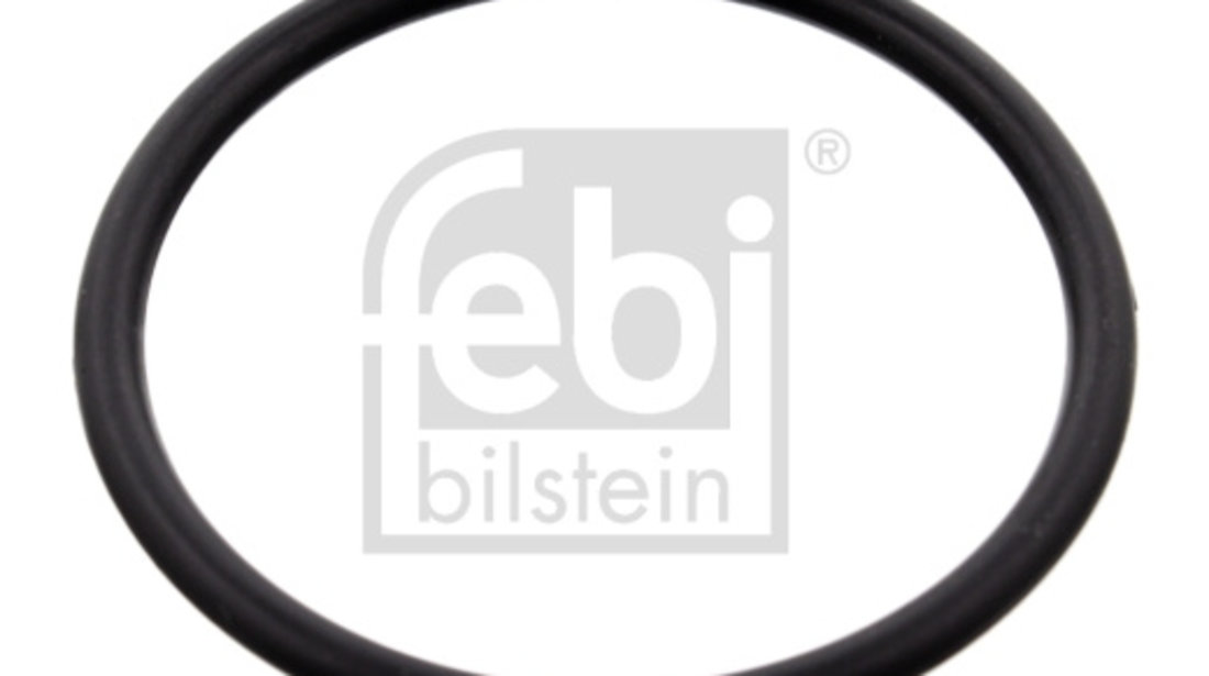 Garnitura, carcasa termostat (100077 FEBI BILSTEIN) MERCEDES-BENZ