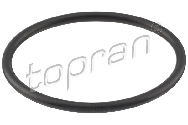 Garnitura, carcasa termostat (100574 HAN) SEAT,VW