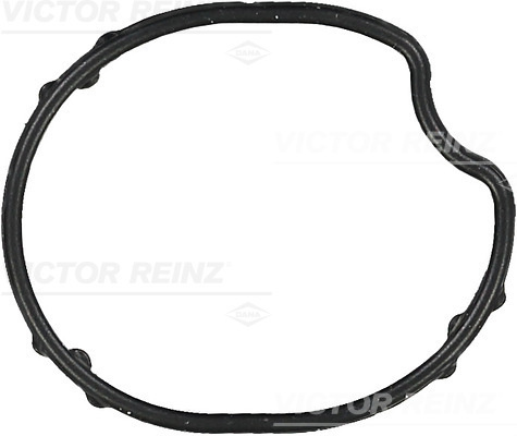 Garnitura, carcasa termostat (713657700 REI)