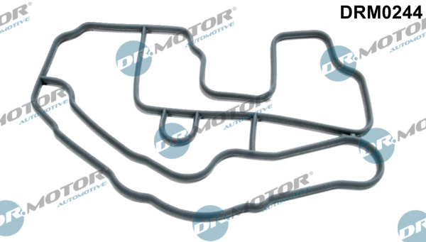 Garnitura, carcasa termostat (DRM0244 DRM) RENAULT