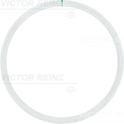 Garnitura, chiulasa (612531510 REI) VW