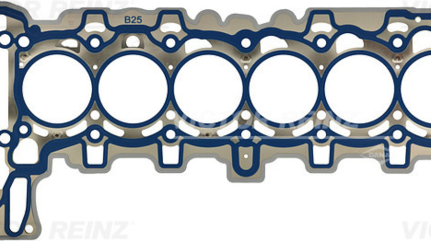 Garnitura, chiulasa (613553510 REI) BMW,BMW (BRILLIANCE)