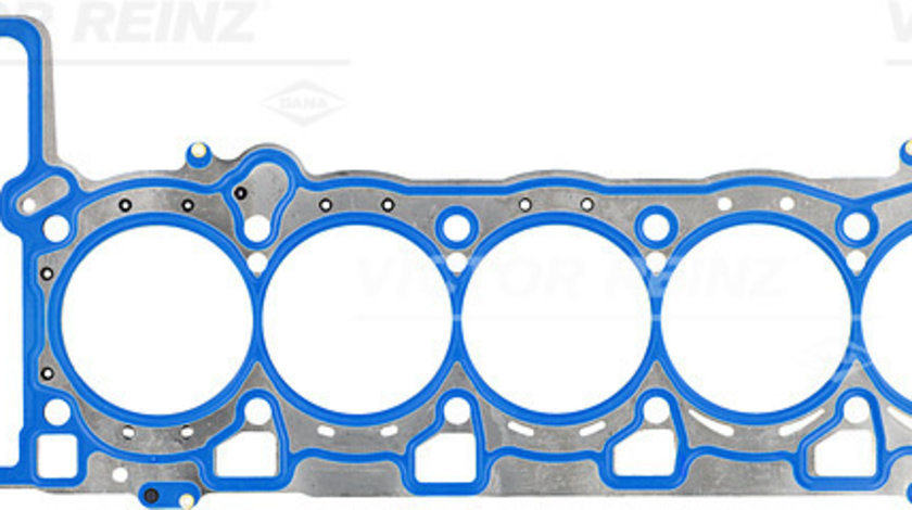 Garnitura, chiulasa (613590500 REI) AUDI