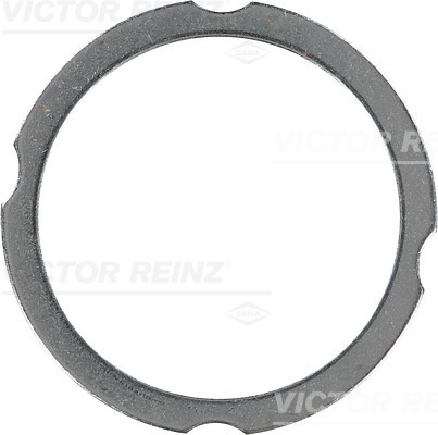 Garnitura, chiulasa (613826000 VICTOR REINZ) FENDT
