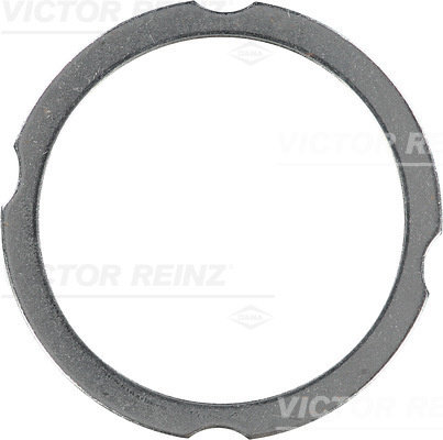 Garnitura, chiulasa (613826000 VICTOR REINZ) FENDT