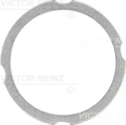 Garnitura, chiulasa (613826030 VICTOR REINZ) FENDT