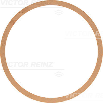 Garnitura, chiulasa (614250000 VICTOR REINZ)