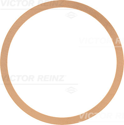 Garnitura, chiulasa (614250500 VICTOR REINZ)