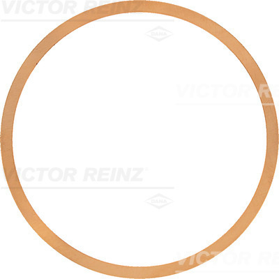 Garnitura, chiulasa (614251500 VICTOR REINZ)
