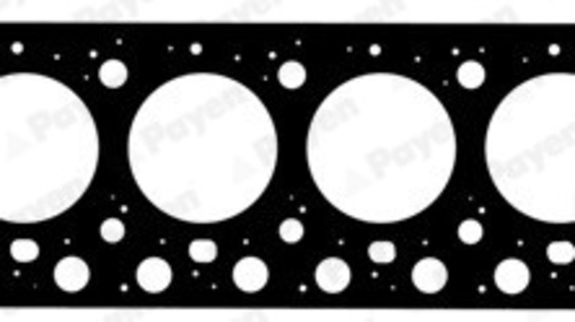 Garnitura, chiulasa (AC5842 PAYEN) BHARATBENZ,BREDAMENARINIBUS,MERCEDES-BENZ,SETRA