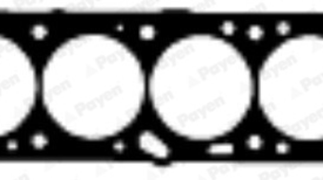 Garnitura, chiulasa (AY220 PAYEN) CHEVROLET,DAEWOO,IRMSCHER,OPEL,PONTIAC,VAUXHALL