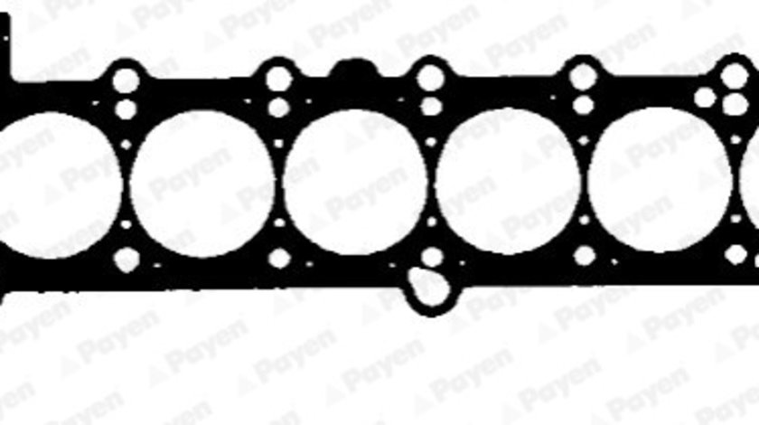 Garnitura, chiulasa (BT681 PAYEN) BMW