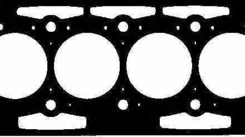 Garnitura chiulasa CITROËN JUMPY platou / sasiu BU BV BW BX REINZ 61-35045-00