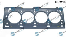 Garnitura, chiulasa (DRM18205 DRM) DACIA,NISSAN,RE...