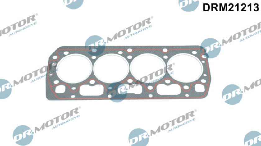 Garnitura, chiulasa (DRM21213 DRM) SKODA