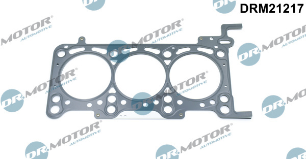 Garnitura, chiulasa (DRM21217 DRM) AUDI,VW