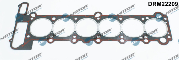 Garnitura, chiulasa (DRM22209 DRM) BMW