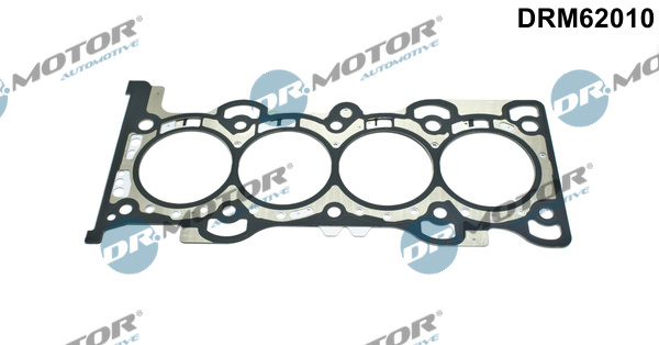 Garnitura, chiulasa (DRM62010 DRM) FORD