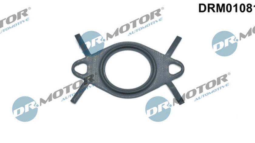 Garnitura, conducta supapa-AGR (DRM01081 DRM) OPEL,VAUXHALL