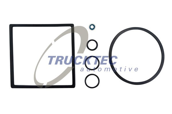 Garnitura, filtru combustibil (0513024 TRUCKTEC) MAN
