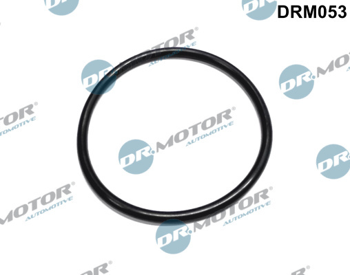 Garnitura, filtru combustibil (DRM053 DRM) Citroen,PEUGEOT