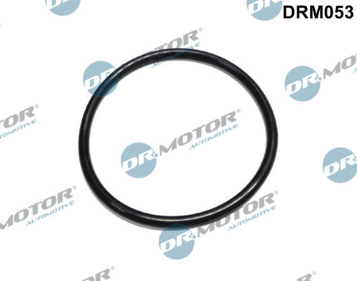 Garnitura, filtru combustibil (DRM053 DRM) Citroen,PEUGEOT