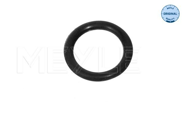 Garnitura, flansa lichid racire (1001210095 MEYLE)