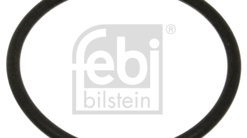 Garnitura, flansa lichid racire (18774 FEBI BILSTEIN) SEAT,VW