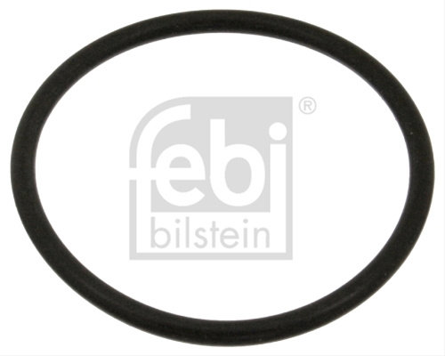 Garnitura, Flansa Lichid Racire Febi Bilstein Seat 18774