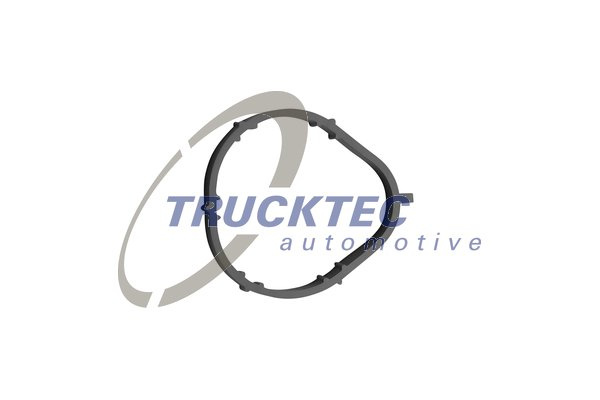 Garnitura, galerie admisie (0216006 TRUCKTEC) SMART