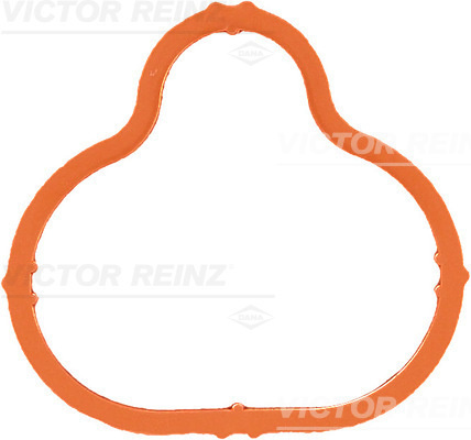 Garnitura, galerie admisie (713426600 REI) OPEL,VAUXHALL
