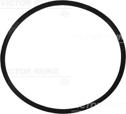 Garnitura, galerie admisie (713447300 REI) CHRYSLER,JEEP,MERCEDES-BENZ