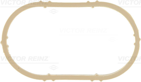 Garnitura, galerie admisie (713618200 REI) DACIA,LADA,NISSAN,RENAULT