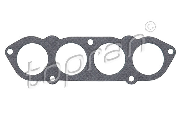 Garnitura, galerie admisie deasupra (110373 HAN) SEAT,SKODA,VW
