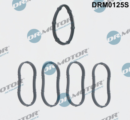 Garnitura, galerie admisie (DRM0125S DRM) DACIA,NISSAN,OPEL,RENAULT