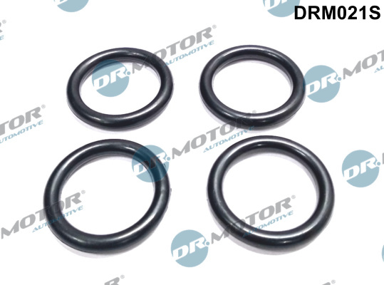 Garnitura, galerie admisie (DRM021S DRM) Citroen,FORD,MAZDA,PEUGEOT,TOYOTA