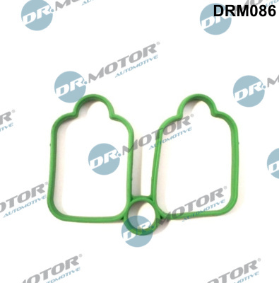 Garnitura, galerie admisie (DRM086 DRM) Citroen,FIAT,PEUGEOT