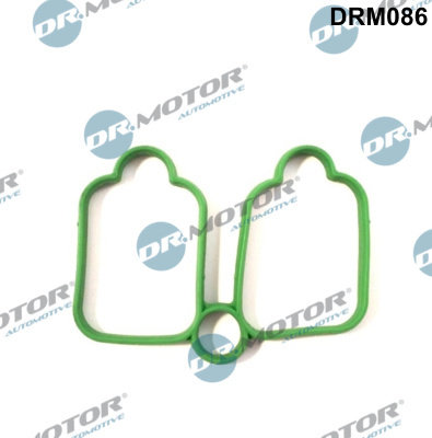 Garnitura, galerie admisie (DRM086 DRM) Citroen,FIAT,PEUGEOT