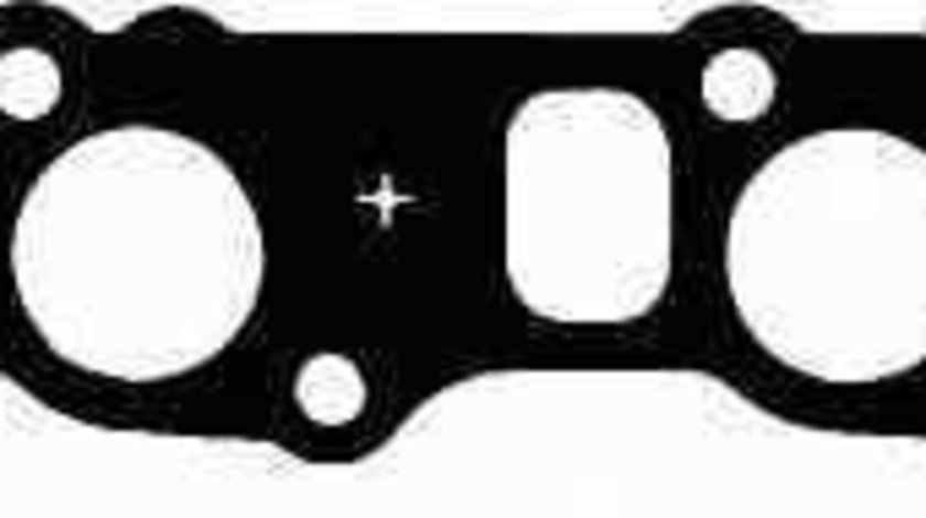 Garnitura galerie admisie FIAT DOBLO platou / sasiu 263 REINZ 71-36307-00
