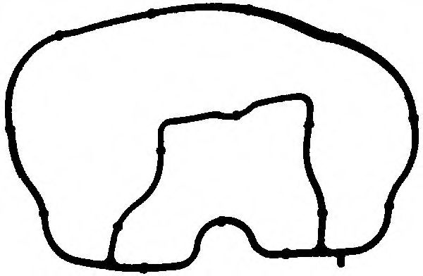 Garnitura, galerie admisie FORD FIESTA V (JH, JD) (2001 - 2010) VICTOR REINZ 71-35543-00 piesa NOUA