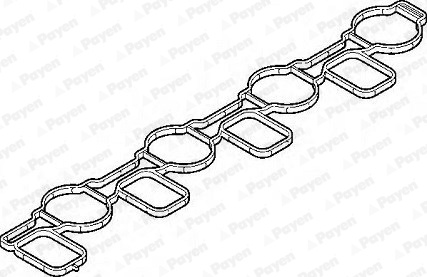 Garnitura, galerie admisie (JD6067 PAYEN) AUDI,SEAT,SKODA,VW