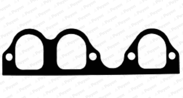 Garnitura, galerie admisie (JD6136 PAYEN) AUDI,SEAT,SKODA,VW