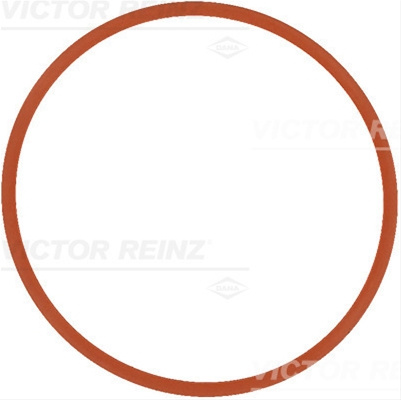 Garnitura Galerie Admisie Victor Reinz Bmw 71-17370-00