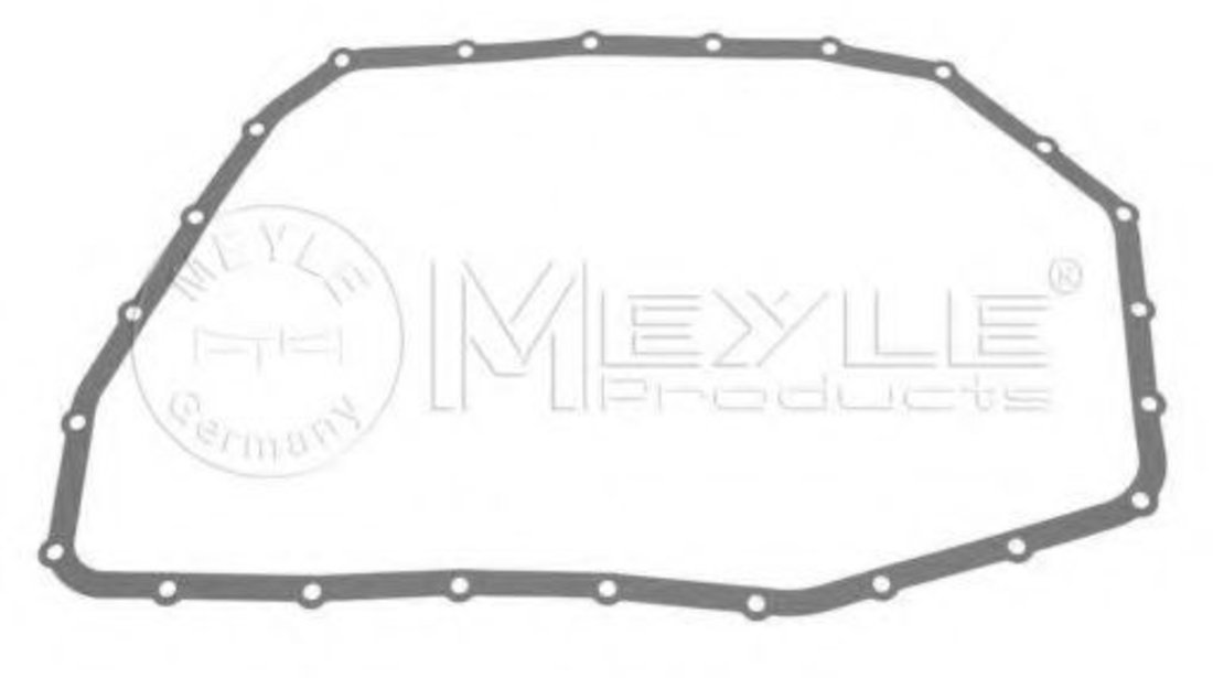 Garnitura, lumina numar inmatriculare AUDI A4 Avant (8E5, B6) (2001 - 2004) MEYLE 100 321 0017 piesa NOUA