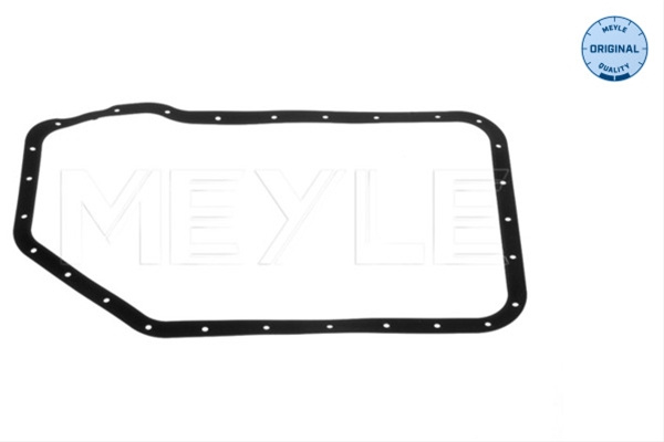 Garnitura, Lumina Numar Inmatriculare Meyle Audi 100 321 0004