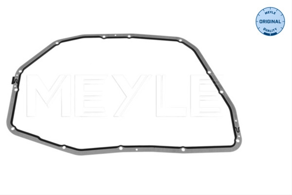 Garnitura, Lumina Numar Inmatriculare Meyle Audi 100 321 0018